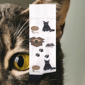 Le Jeu Du Chat Et De La Souris