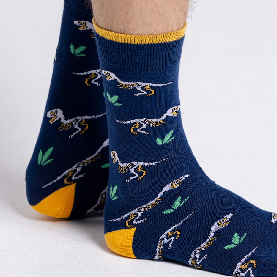 Chaussettes Les Dinosaures