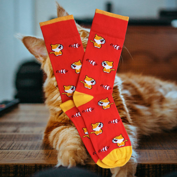 Ambielly Chaussettes Décontractées Et Confortables En Coton Pour Femme Motif Animal Mignon, 4 Chats, Taille Unique