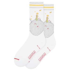 LES ARTISTIQUES - LE PETIT PRINCE - CHAUSSETTES PLANETE GRISE