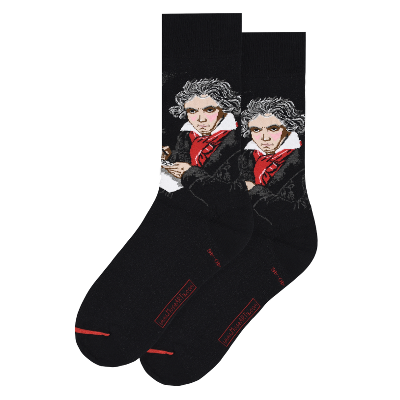 Les Artistiques - Joseph Karl Stieler - Chaussettes Ludwig Van Beethoven