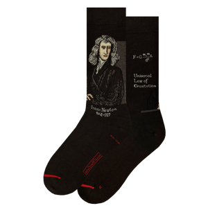 LES ARTISTIQUES - SCIENCE & HISTOIRE - CHAUSSETTES ISAAC NEWTON