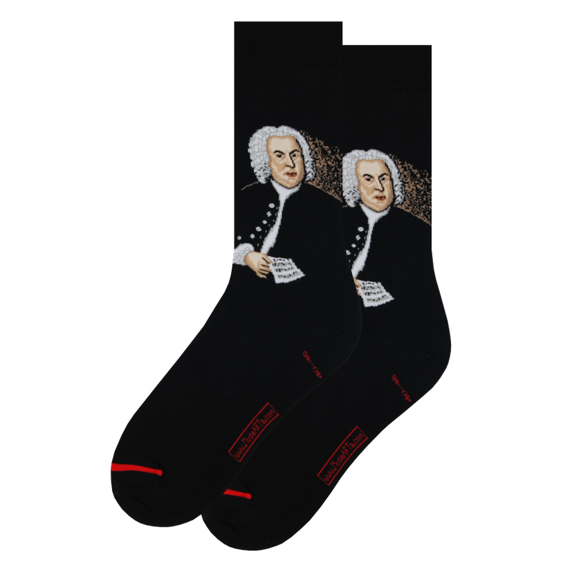 Les Artistiques - Elias Gottlob Haussmann - Chaussettes Jean-sebastien Bach
