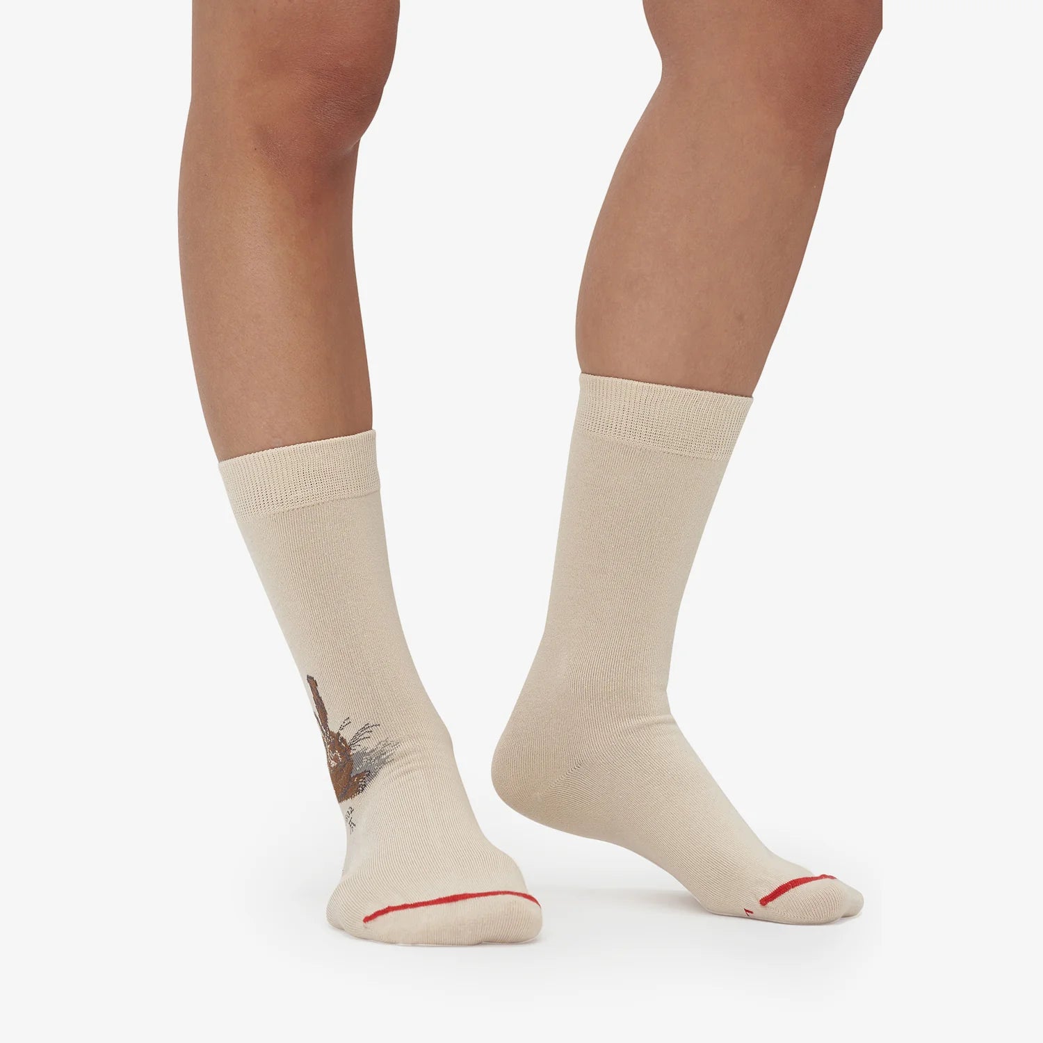 Les Artistiques - Albrecht Durer - Chaussettes Lapin De Garenne