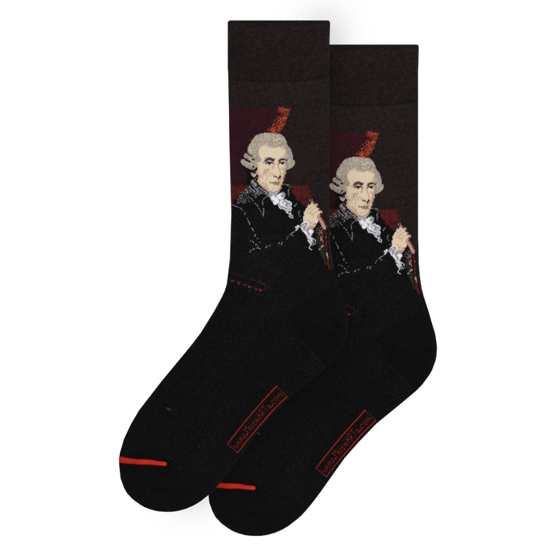 LES ARTISTIQUES - THOMAS HARDY - CHAUSSETTES JOSEPH HAYDN