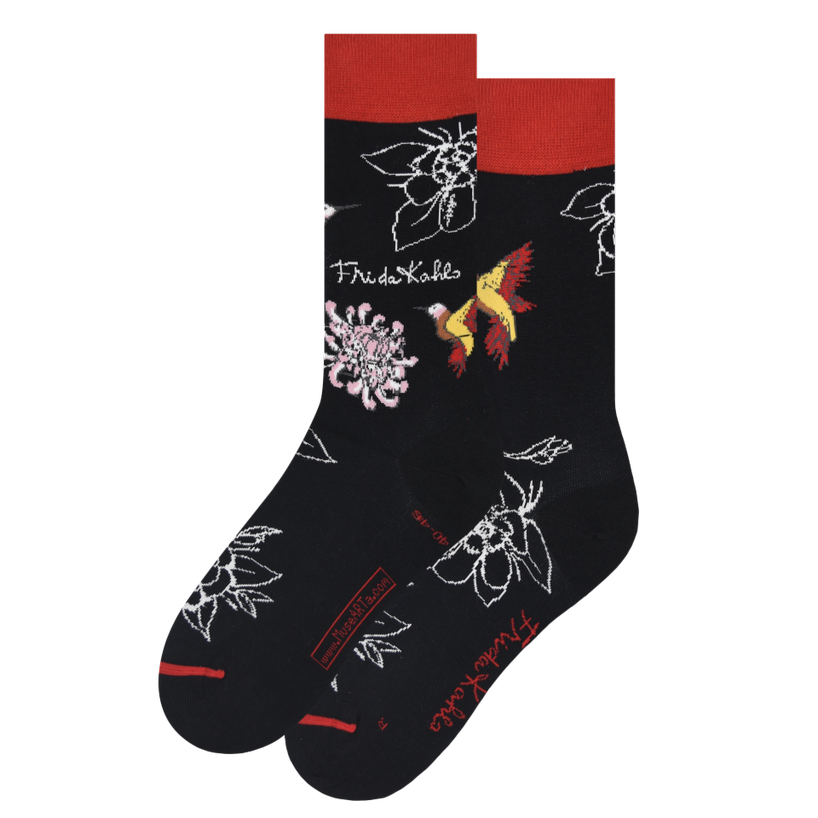 Les Artistiques - Frida Kahlo - Chaussettes Colibris