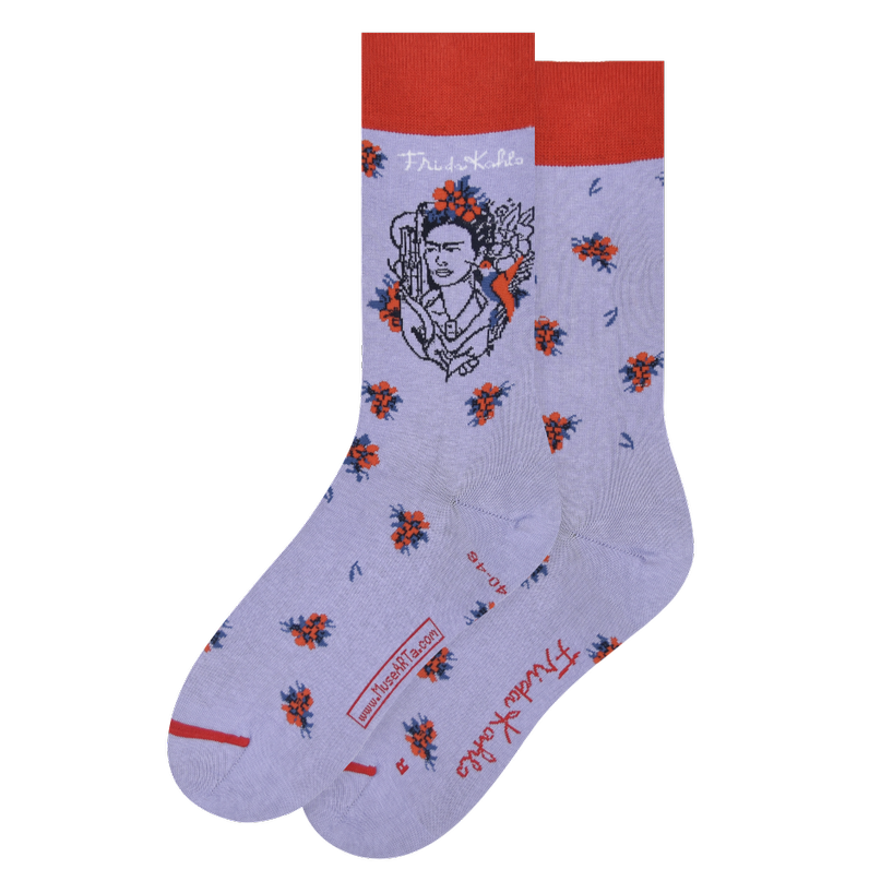 Les Artistiques - Frida Kahlo - Chaussettes Frida Au Colibri